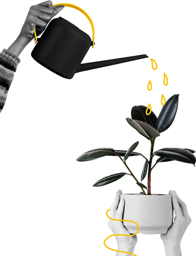 رونق کسب و کار